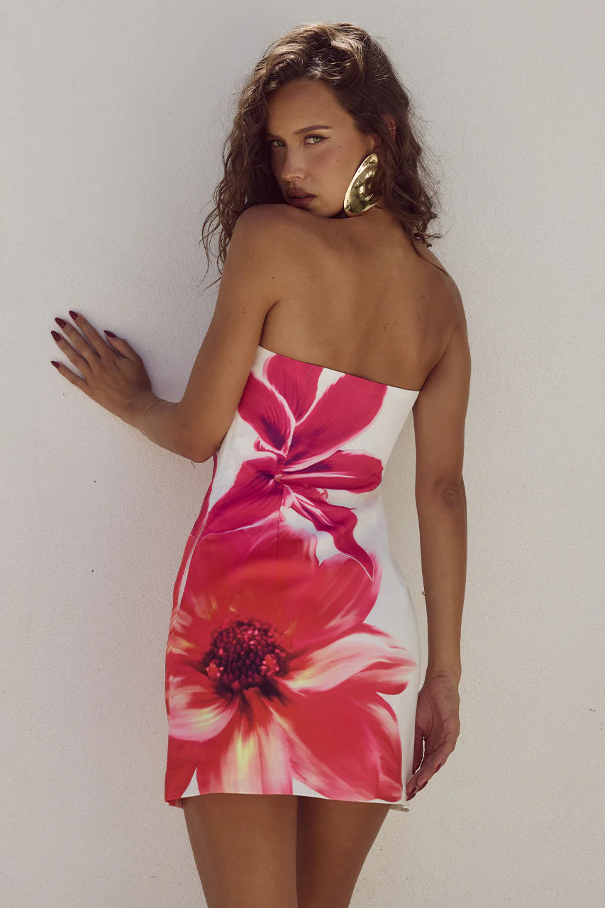 Jasmine Mini Dress